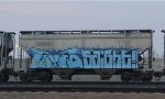 CMEX 493522